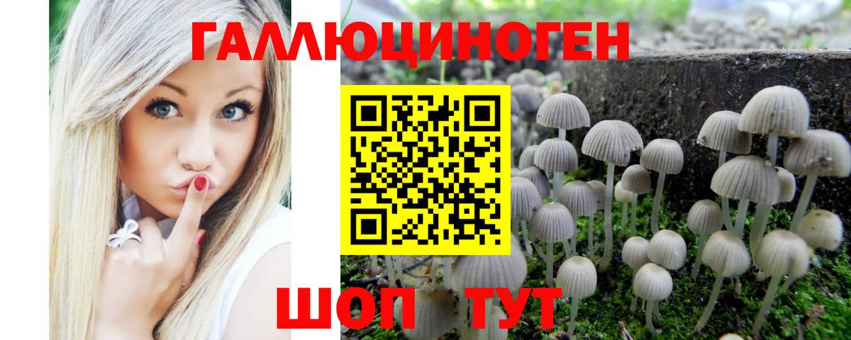 Псилоцибиновые грибы Cubensis Ленинск-Кузнецкий
